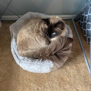 Meet your Posher, Sydney